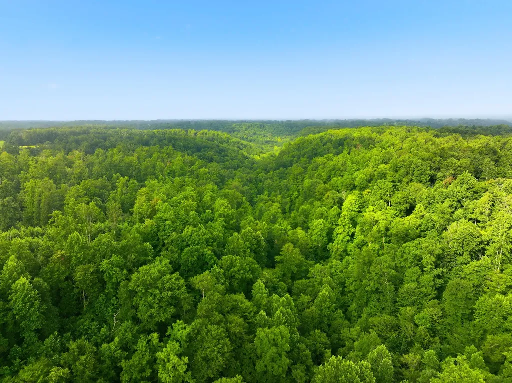 1475 Gosser Ridge Road Liberty KY 42539