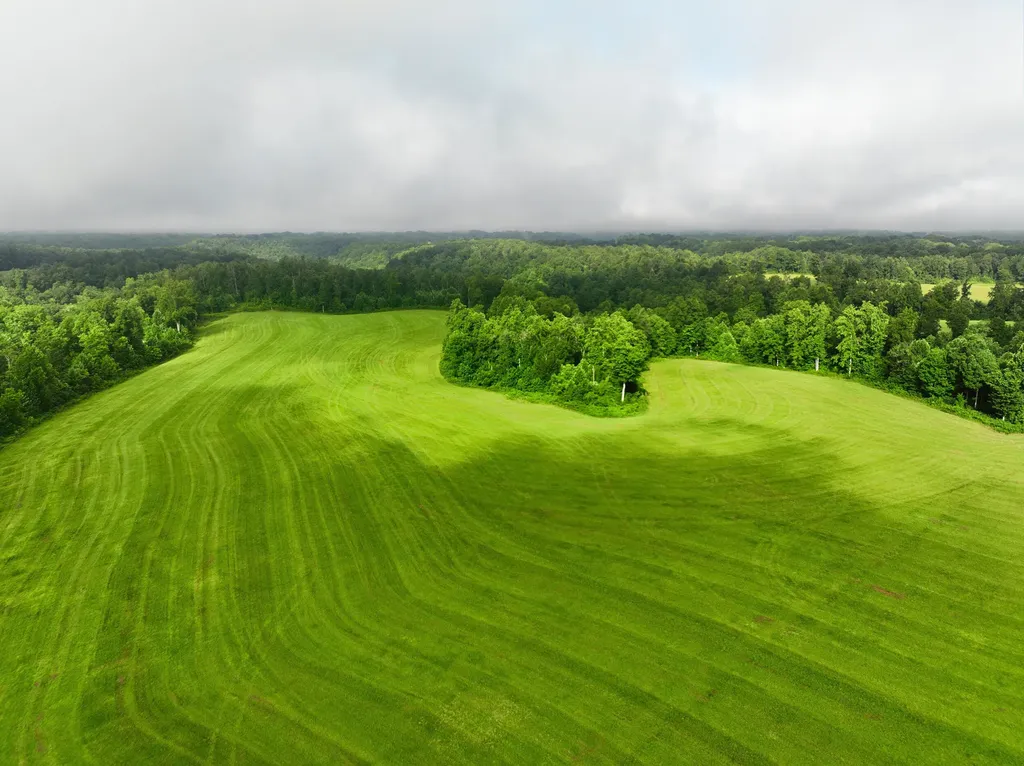 1475 Gosser Ridge Road Liberty KY 42539