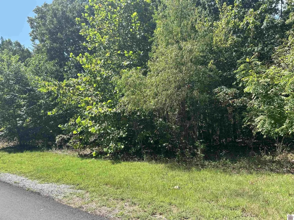149 Centerview Road Murray KY 42071