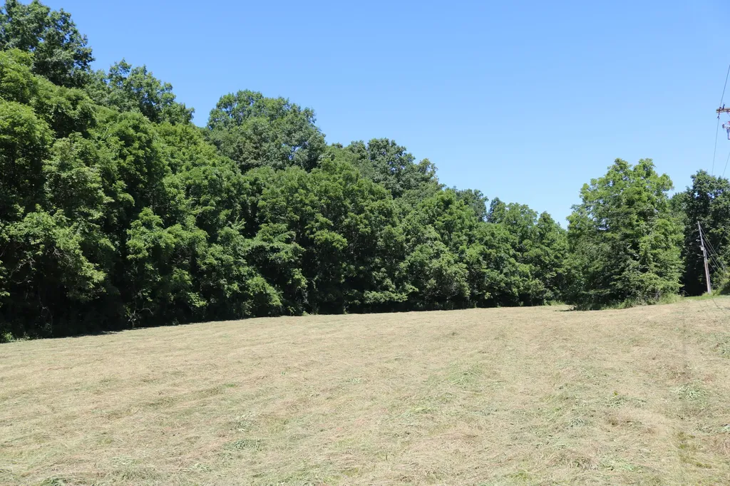 1-A Dog Walk Road Carlisle KY 40311