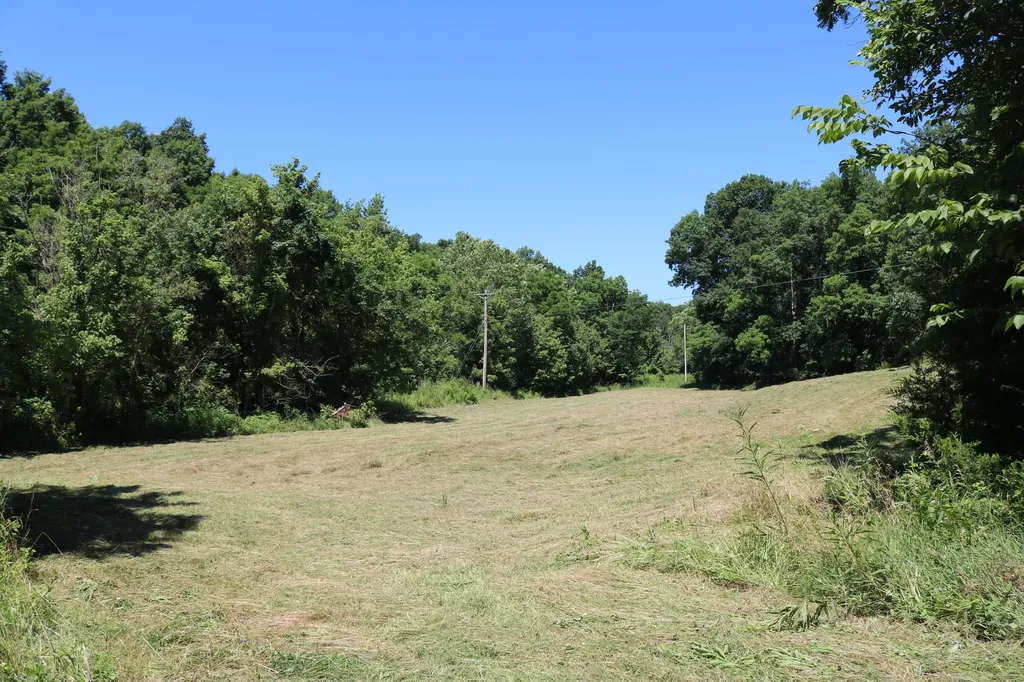 1-A Dog Walk Road Carlisle KY 40311