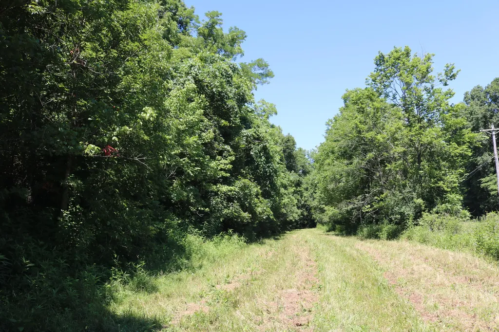 1-A Dog Walk Road Carlisle KY 40311