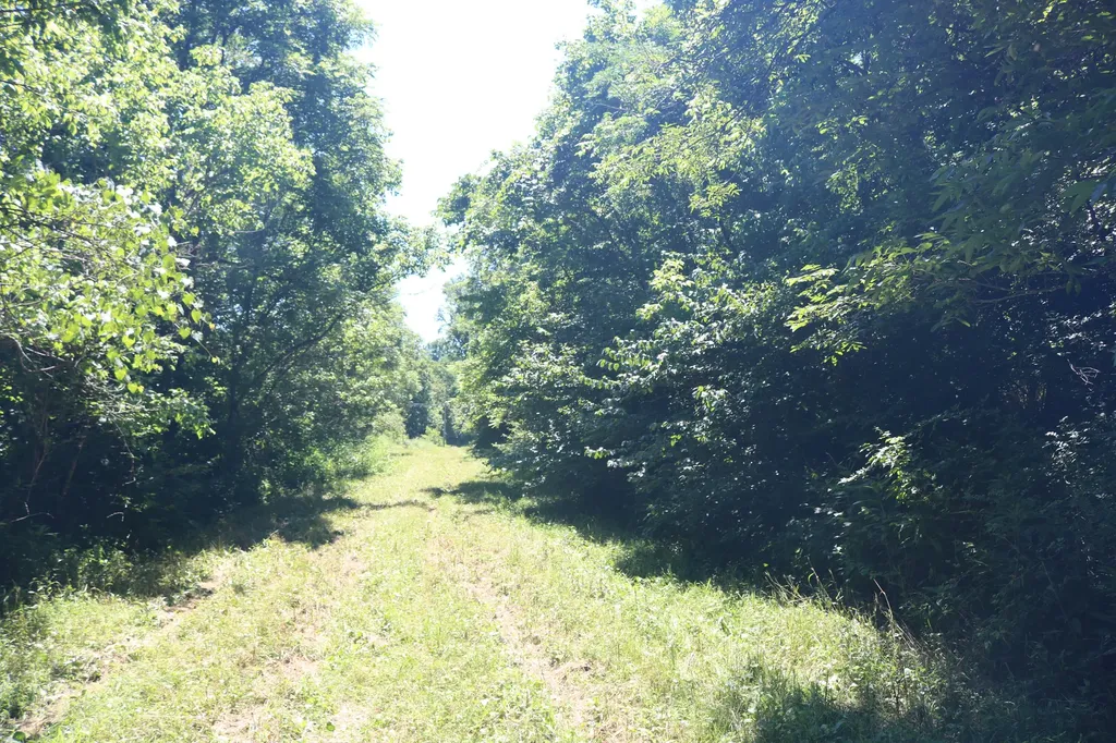 1-A Dog Walk Road Carlisle KY 40311