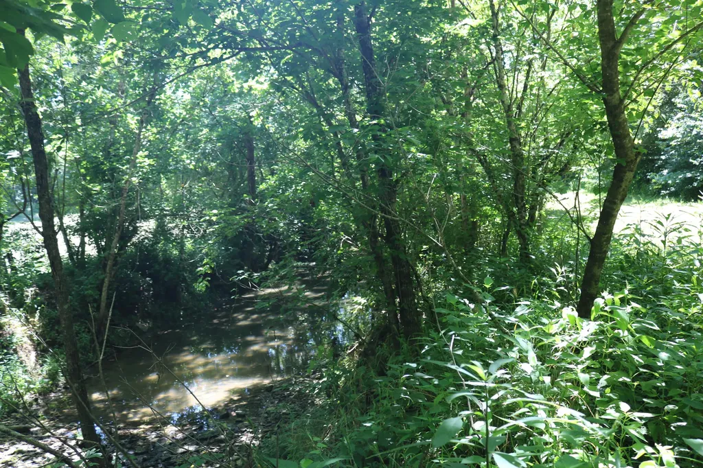 1-A Dog Walk Road Carlisle KY 40311