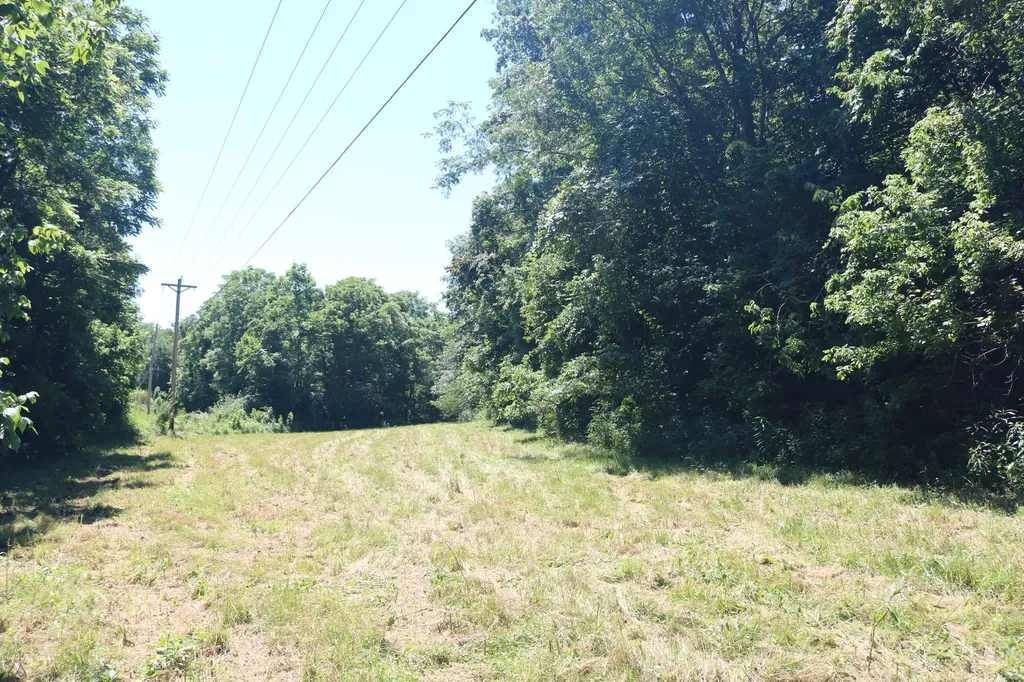 1-A Dog Walk Road Carlisle KY 40311