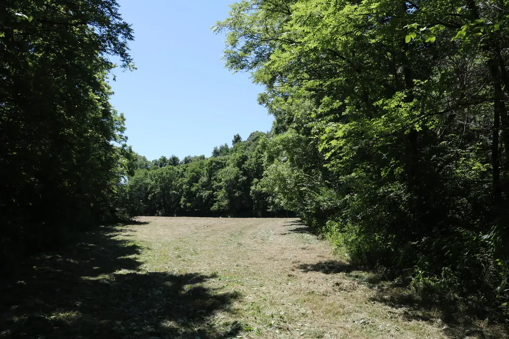 1-A Dog Walk Road Carlisle KY 40311
