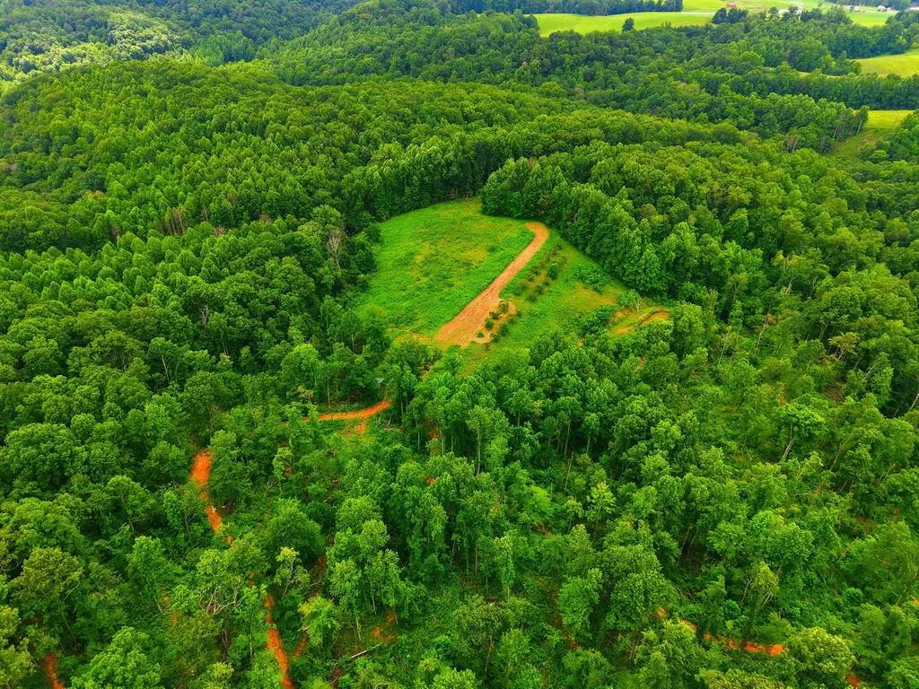 582 High Ridge Tower Road Middleburg KY 42541