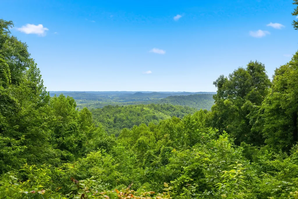 582 High Ridge Tower Road Middleburg KY 42541