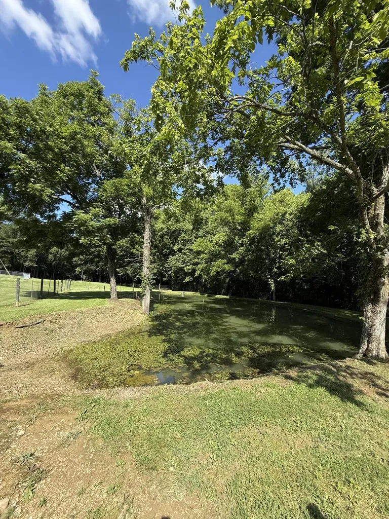 441 Drakes Creek Road Crab Orchard KY 40419