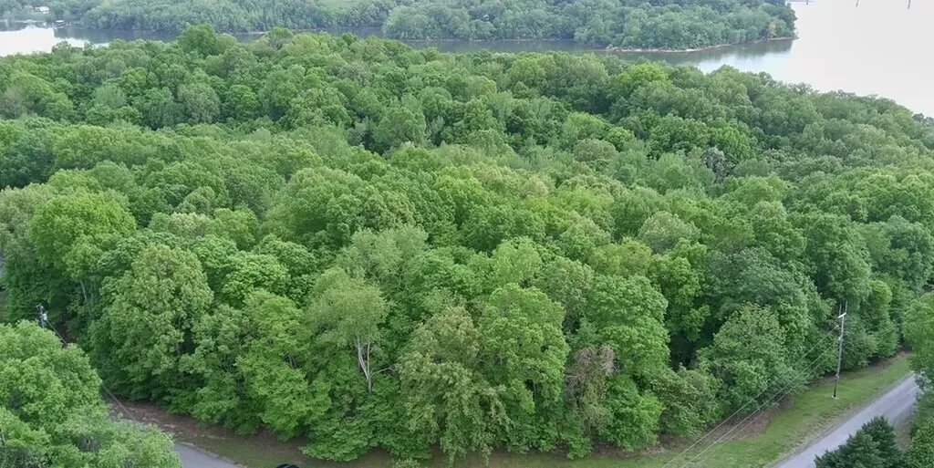 Lot 14 Malcoms Point Road Cadiz KY 42211