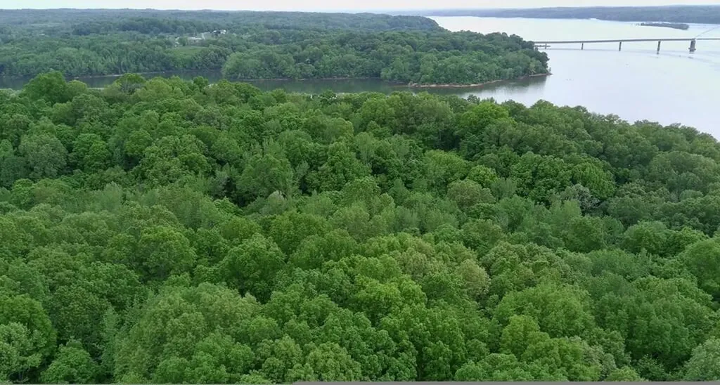 Lot 14 Malcoms Point Road Cadiz KY 42211