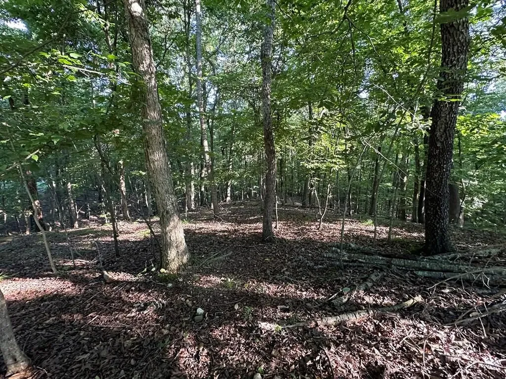 Lot 14 Malcoms Point Road Cadiz KY 42211