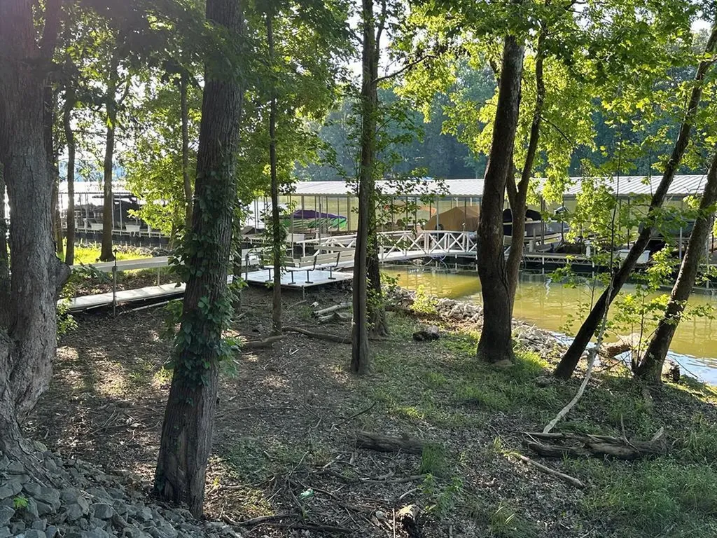 Lot 14 Malcoms Point Road Cadiz KY 42211
