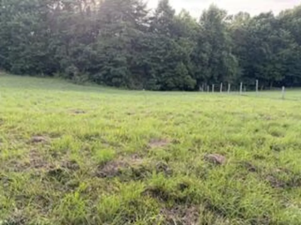 0000 Robertsport Road Nancy KY 42544