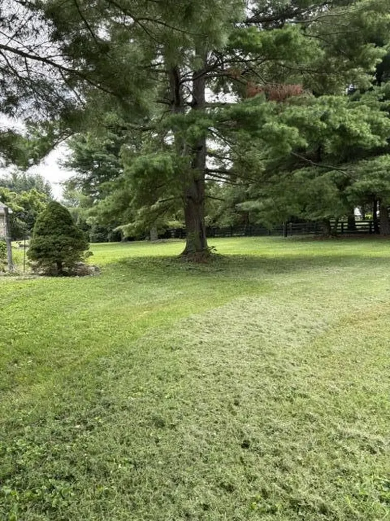109 Barkley Nicholasville KY 40356