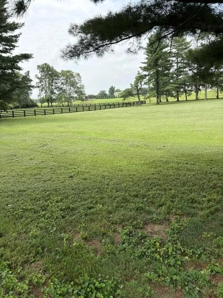 109 Barkley Nicholasville KY 40356
