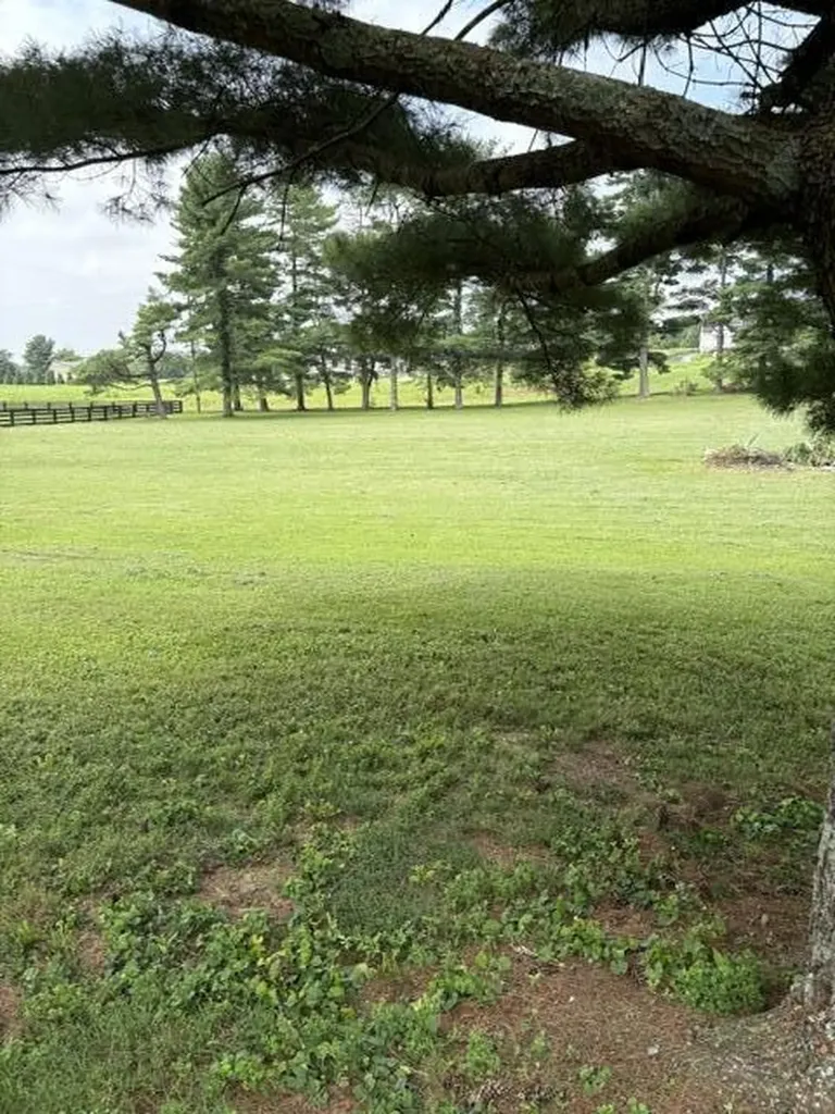 109 Barkley Nicholasville KY 40356