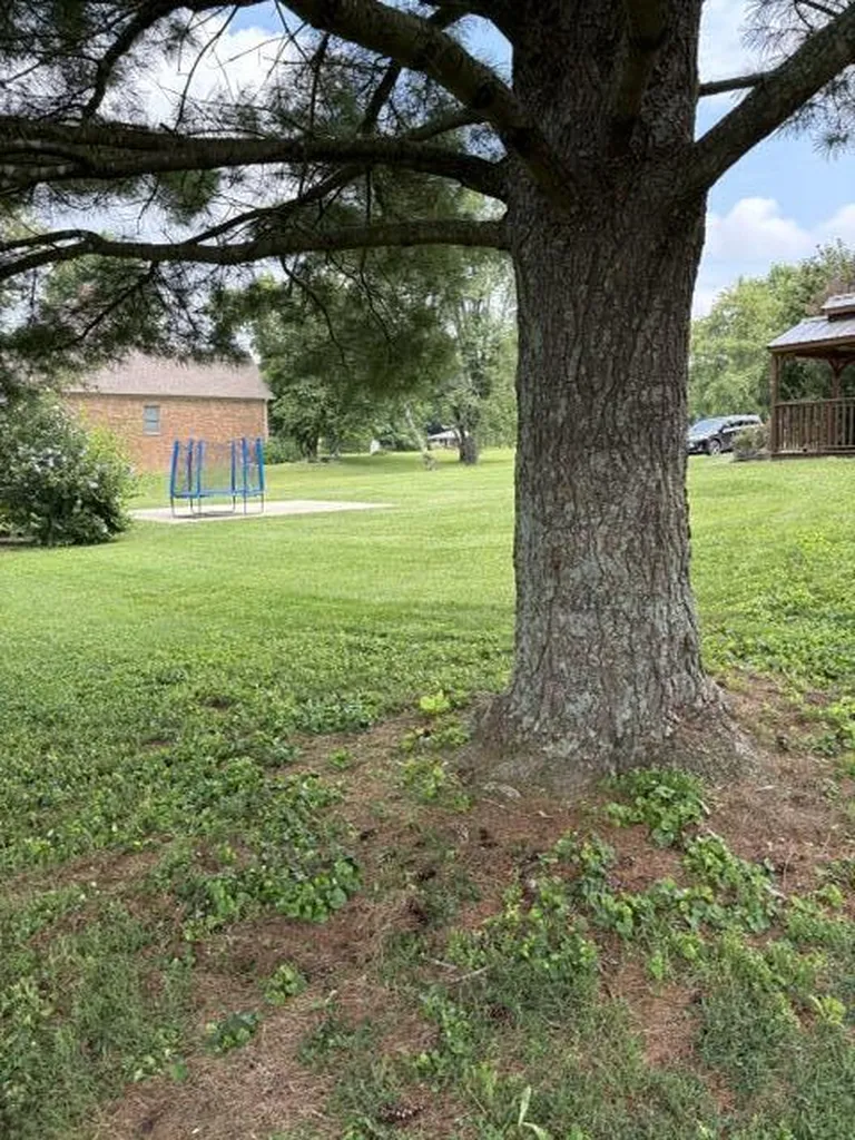 109 Barkley Nicholasville KY 40356