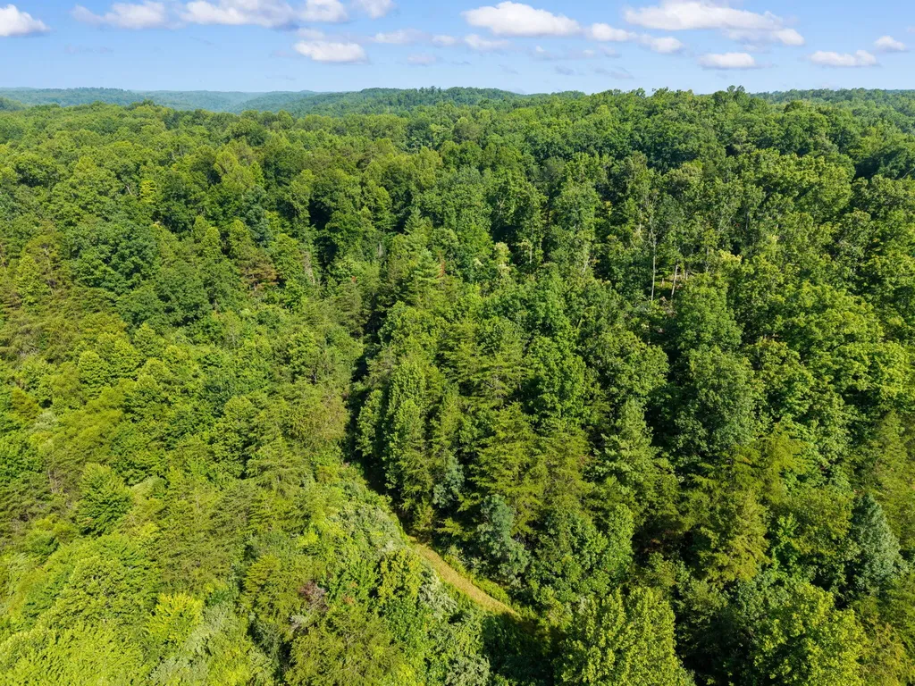 9340 Kentucky 587 Mckee KY 40447