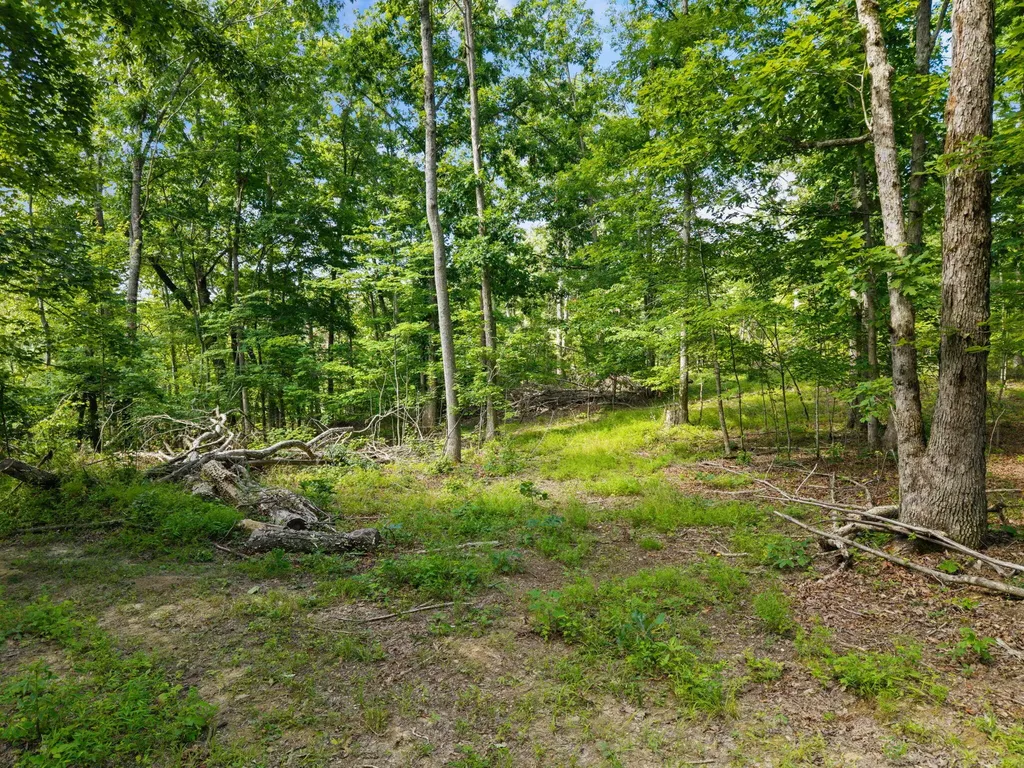 9340 Kentucky 587 Mckee KY 40447