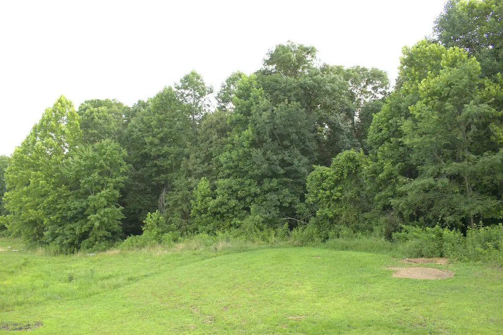 113 Outlook Drive Owingsville KY 40360