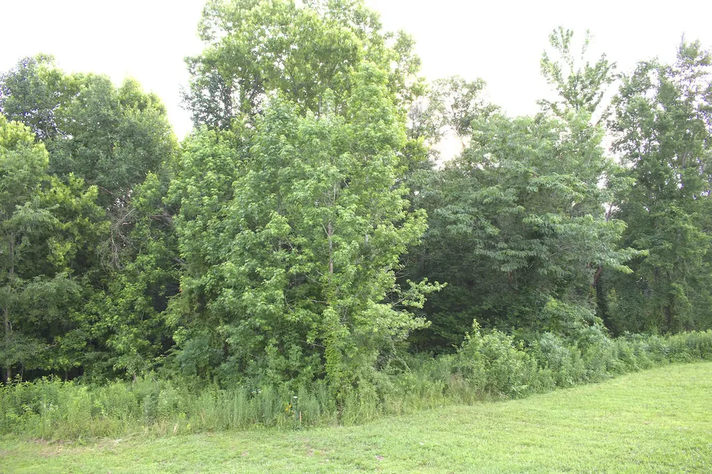 113 Outlook Drive Owingsville KY 40360