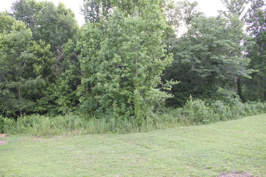 113 Outlook Drive Owingsville KY 40360