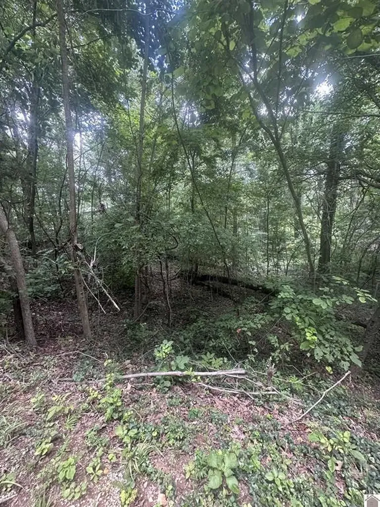 714 Country Hills Drive Eddyville KY 42038