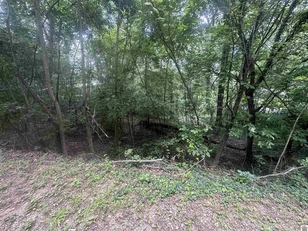 715 Country Hills Drive Eddyville KY 42038