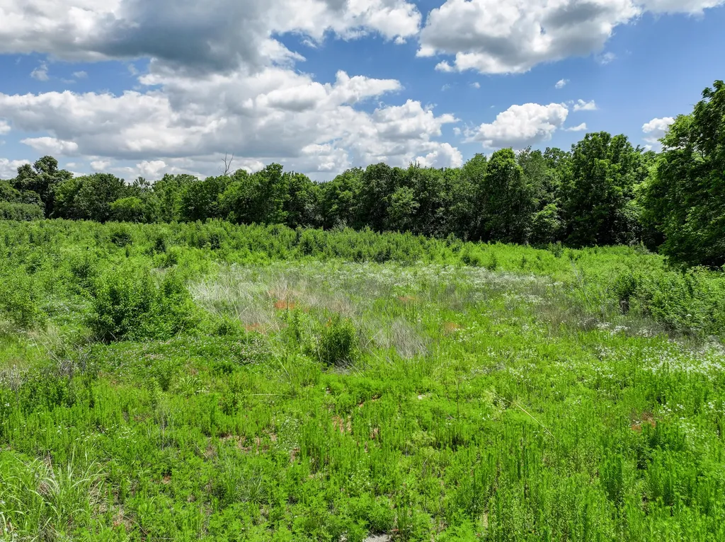Lot Iv-r Clays Mill Extended Nicholasville KY 40356