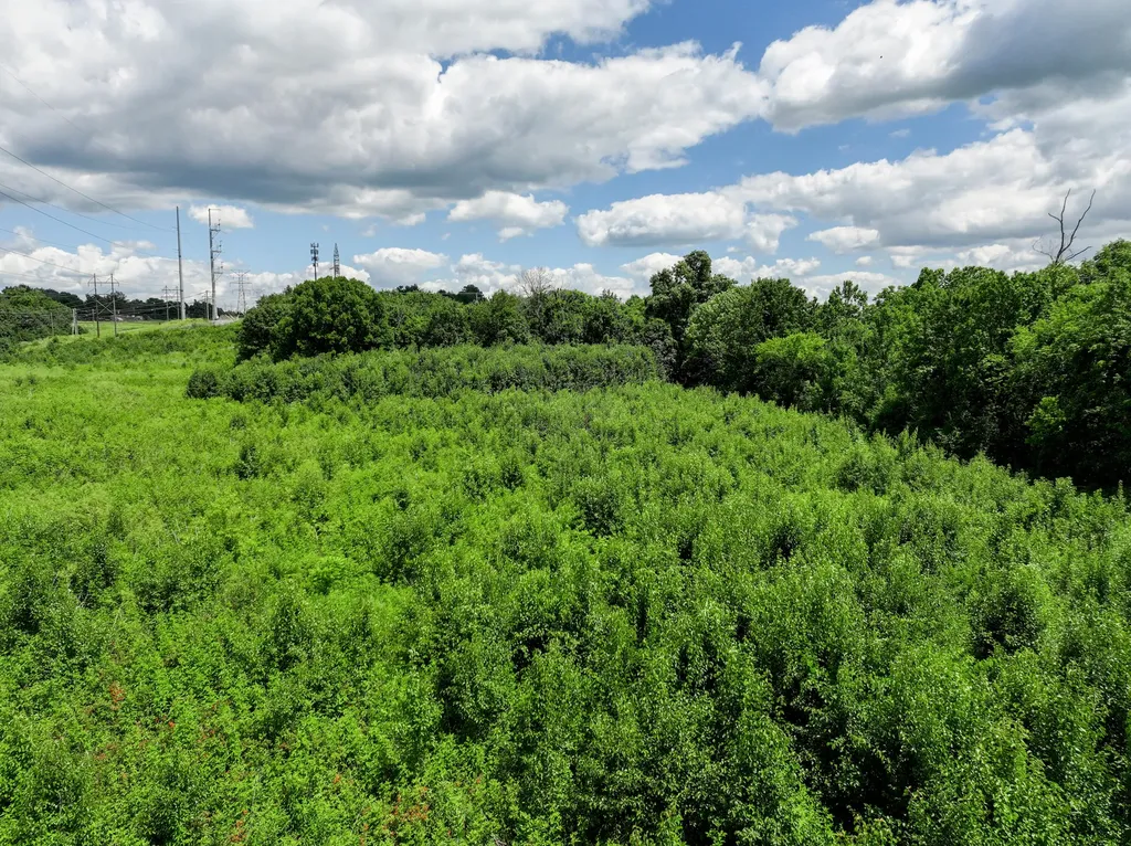 Lot Iv-r Clays Mill Extended Nicholasville KY 40356