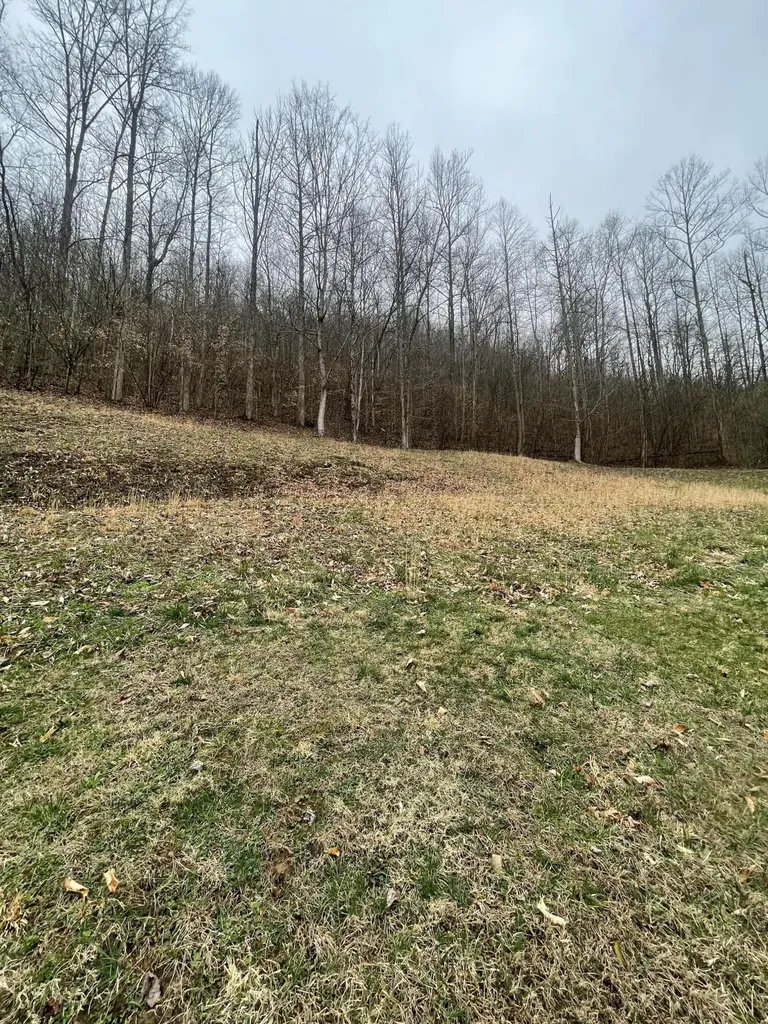 143 Trace Branch Road Walker KY 40997