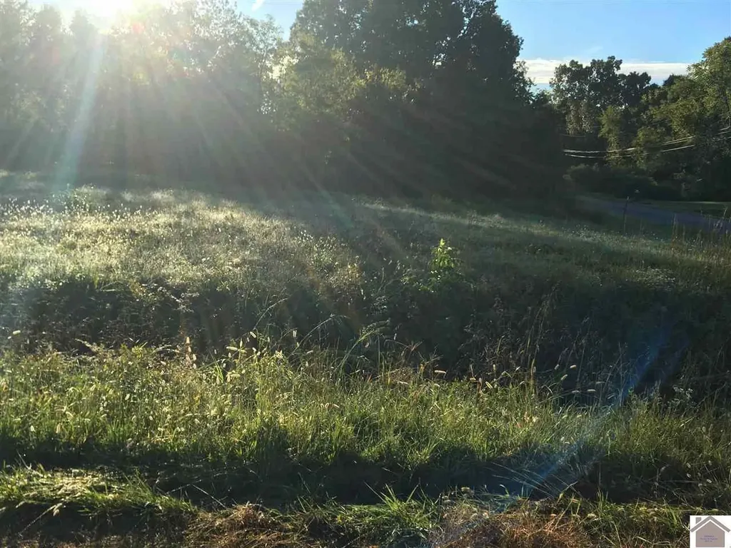 0000 Access Road Benton KY 42025