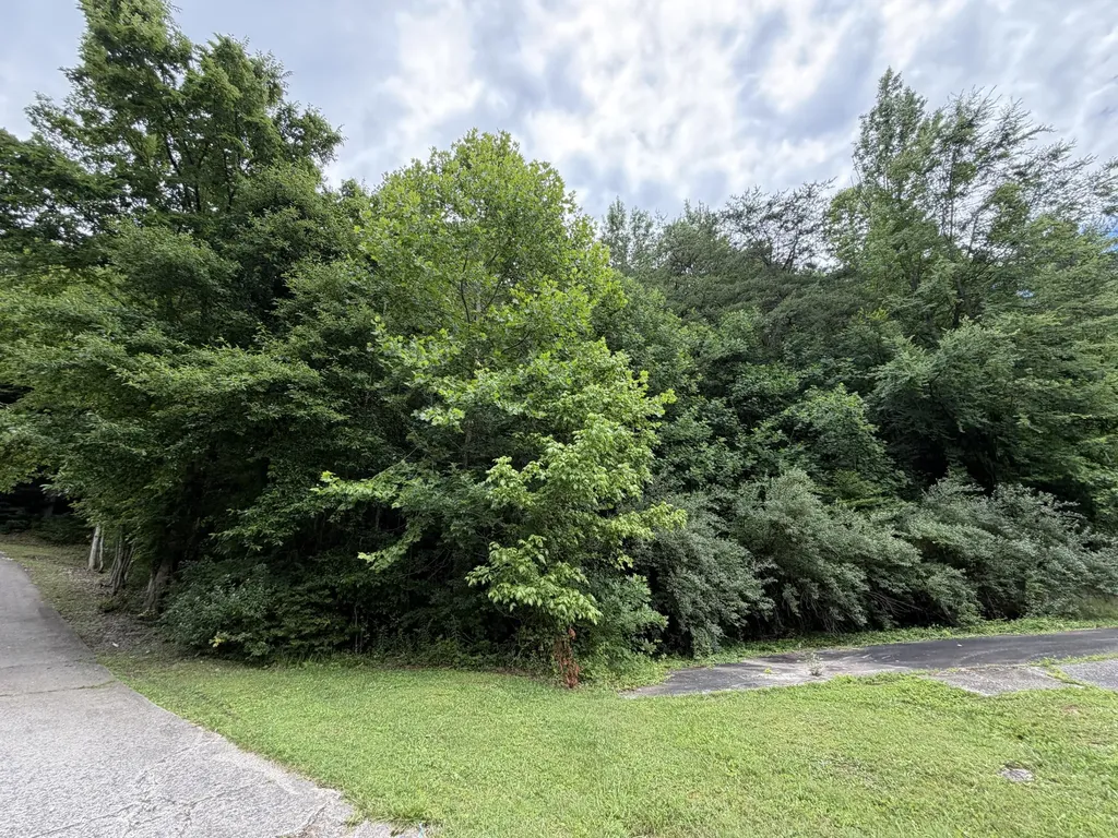 999 Mcdonalds Lane Heidrick KY 40949