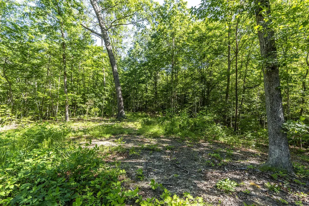 300 Radford Hollow Road Berea KY 40403