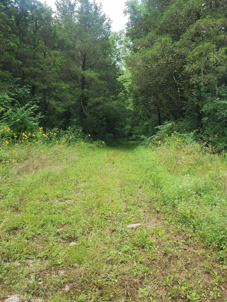 2828 Athens Boonesboro Road Winchester KY 40391
