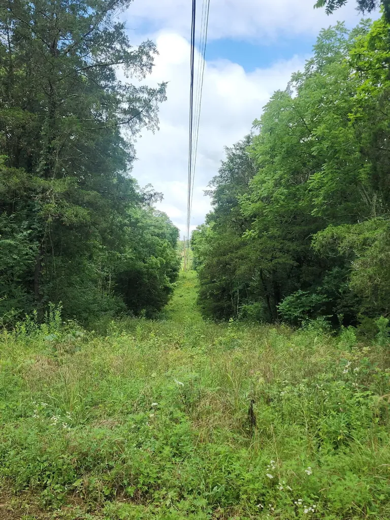 2828 Athens Boonesboro Road Winchester KY 40391