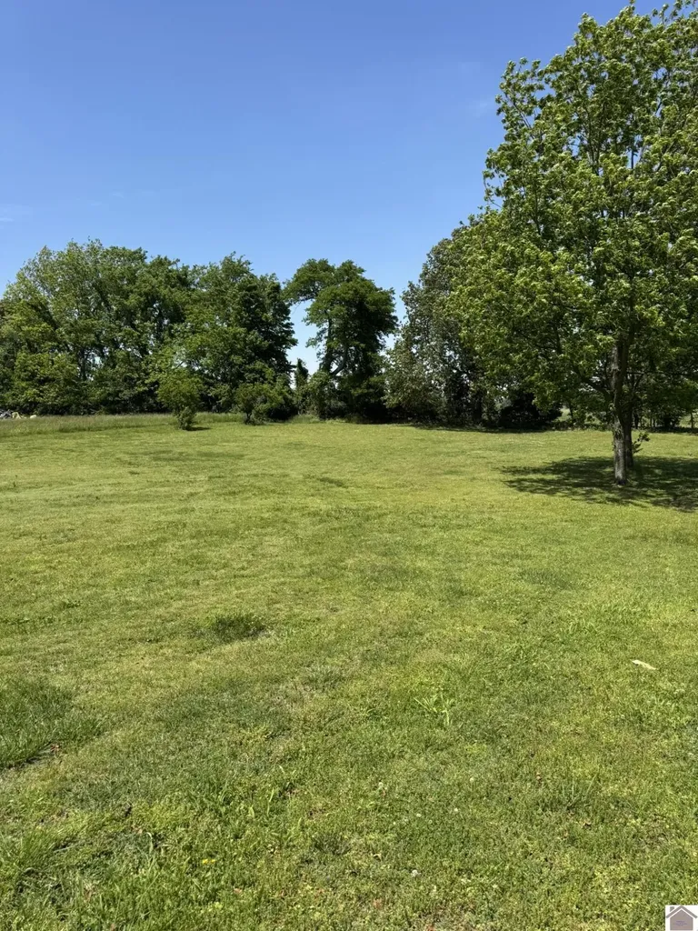 5250 State Route 123 Clinton KY 42031