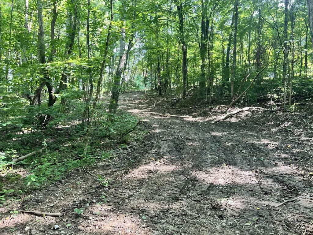 0 State Highway 1546 Monticello KY 42633