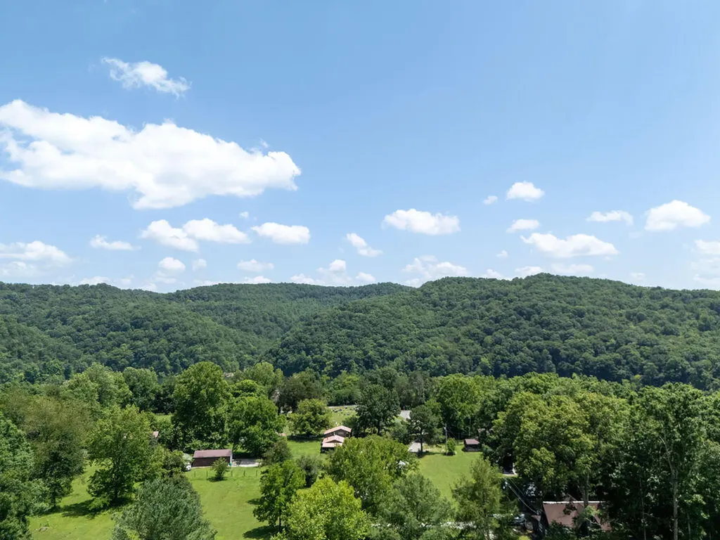 9127 Leatherwood Salt Lick KY 40371