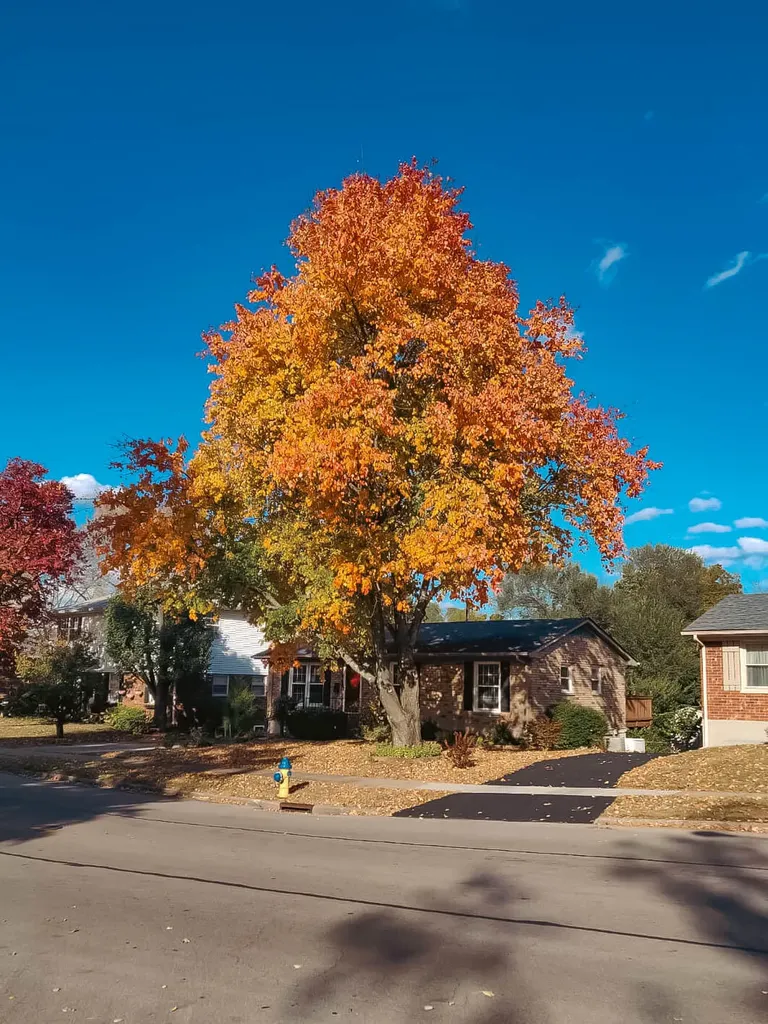 3516 Camelot Drive Lexington KY 40517