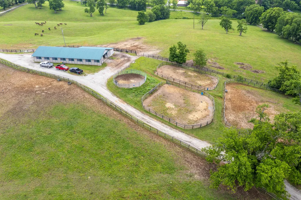 493 Levy Road Paris KY 40361