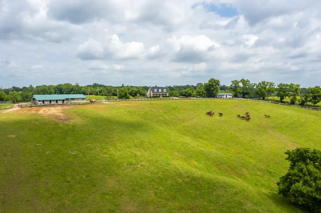 493 Levy Road Paris KY 40361