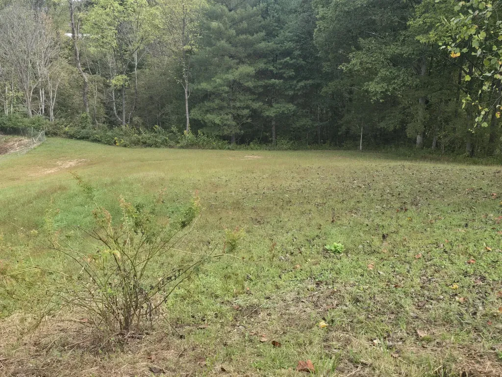 7408 N 11 Highway Girdler KY 40943