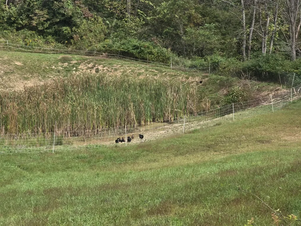 7408 N 11 Highway Girdler KY 40943