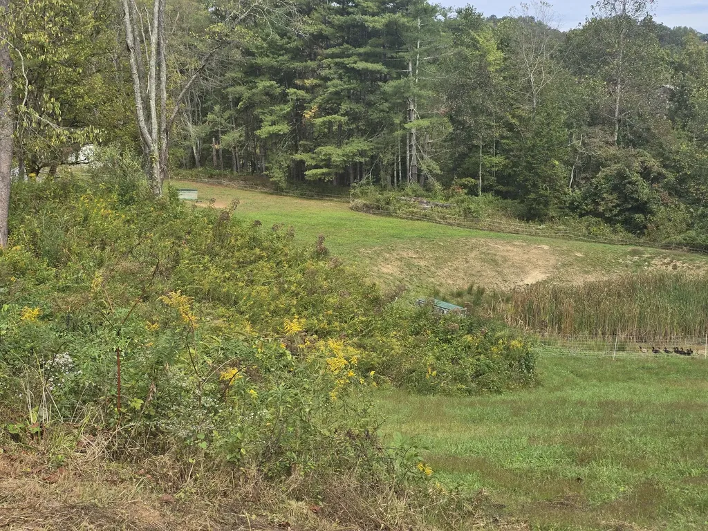 7408 N 11 Highway Girdler KY 40943