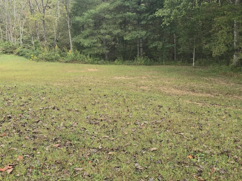 7408 N 11 Highway Girdler KY 40943
