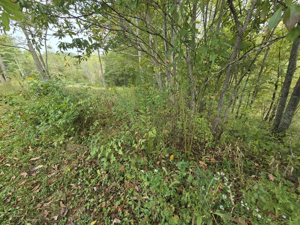 7408 N 11 Highway Girdler KY 40943