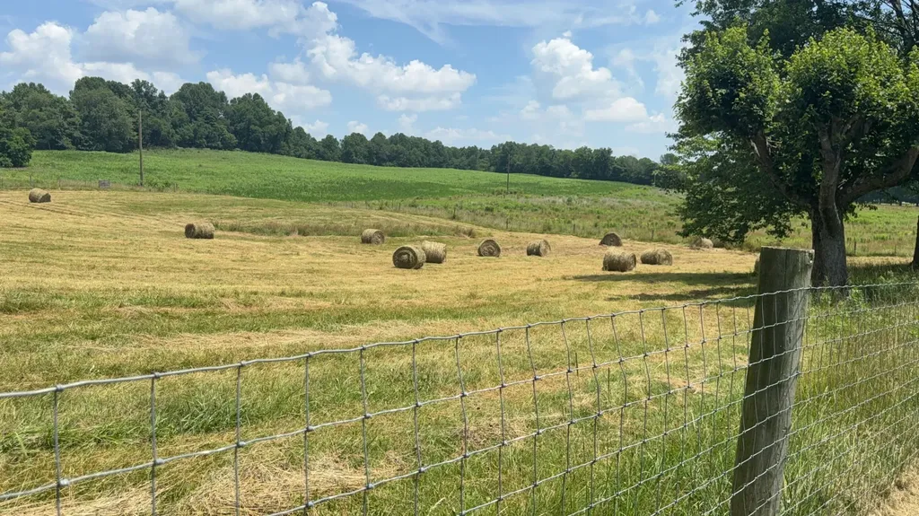 979 Walnut Grove School Road Waynesburg KY 40489