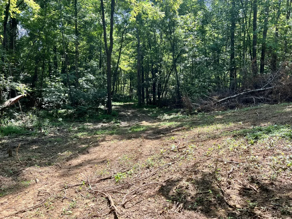 0000 State Highway 1546 Monticello KY 42633